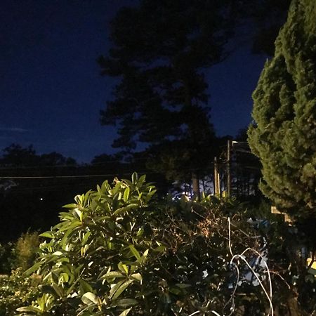Hotel Windy House Da Lat Esterno foto